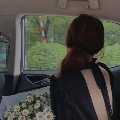 血芙蓉